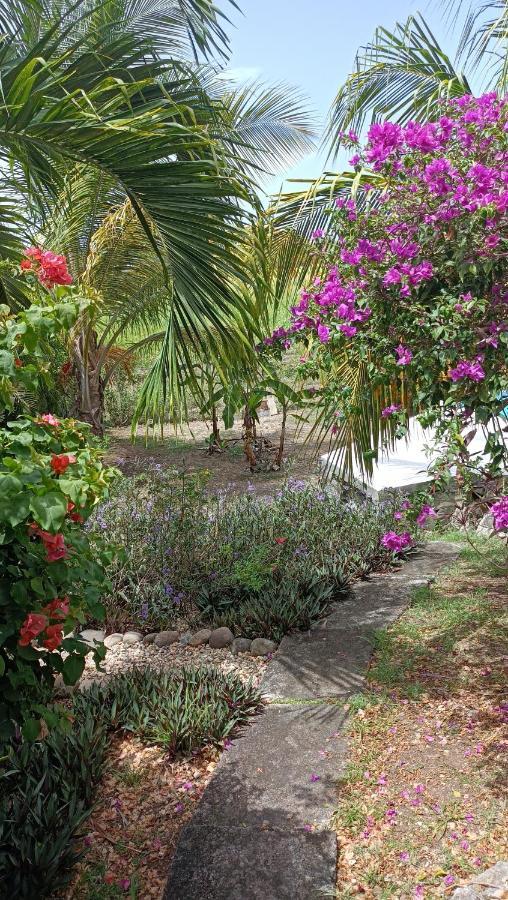 T2 Jardin Clos Les Nids De La Colline سانت فرانسوا المظهر الخارجي الصورة
